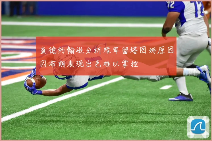 查德约翰逊分析绿军留塔图姆原因因布朗表现出色难以掌控