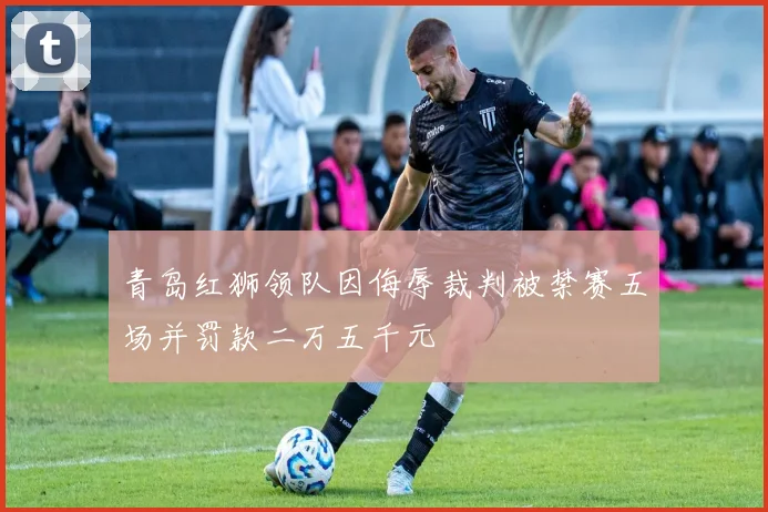 青岛红狮领队因侮辱裁判被禁赛五场并罚款二万五千元